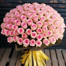 Букет 101 Розовая роза #REPLACE_PRED# Высокогорном