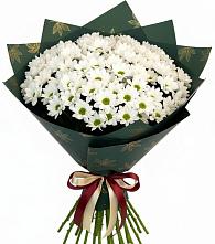 Букет цветов из:  Хризантемы #REPLACE_PRED# Высокогорном